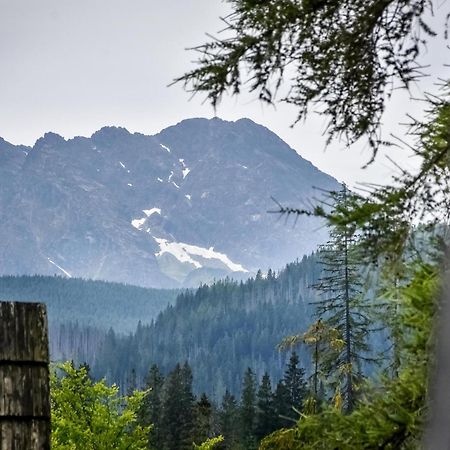Za Gorami Za Lasami Zakopane Ngoại thất bức ảnh